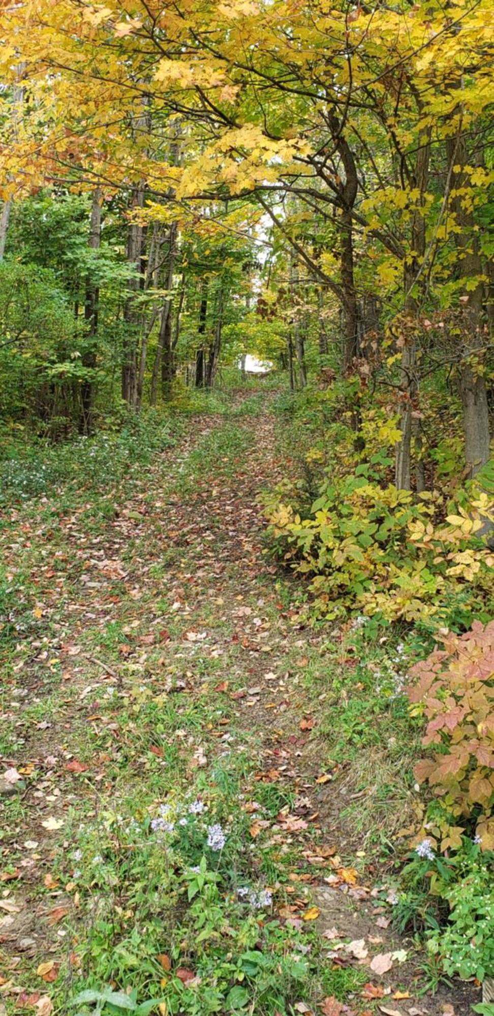 Cozy Country Farm Stay Fredonia Экстерьер фото